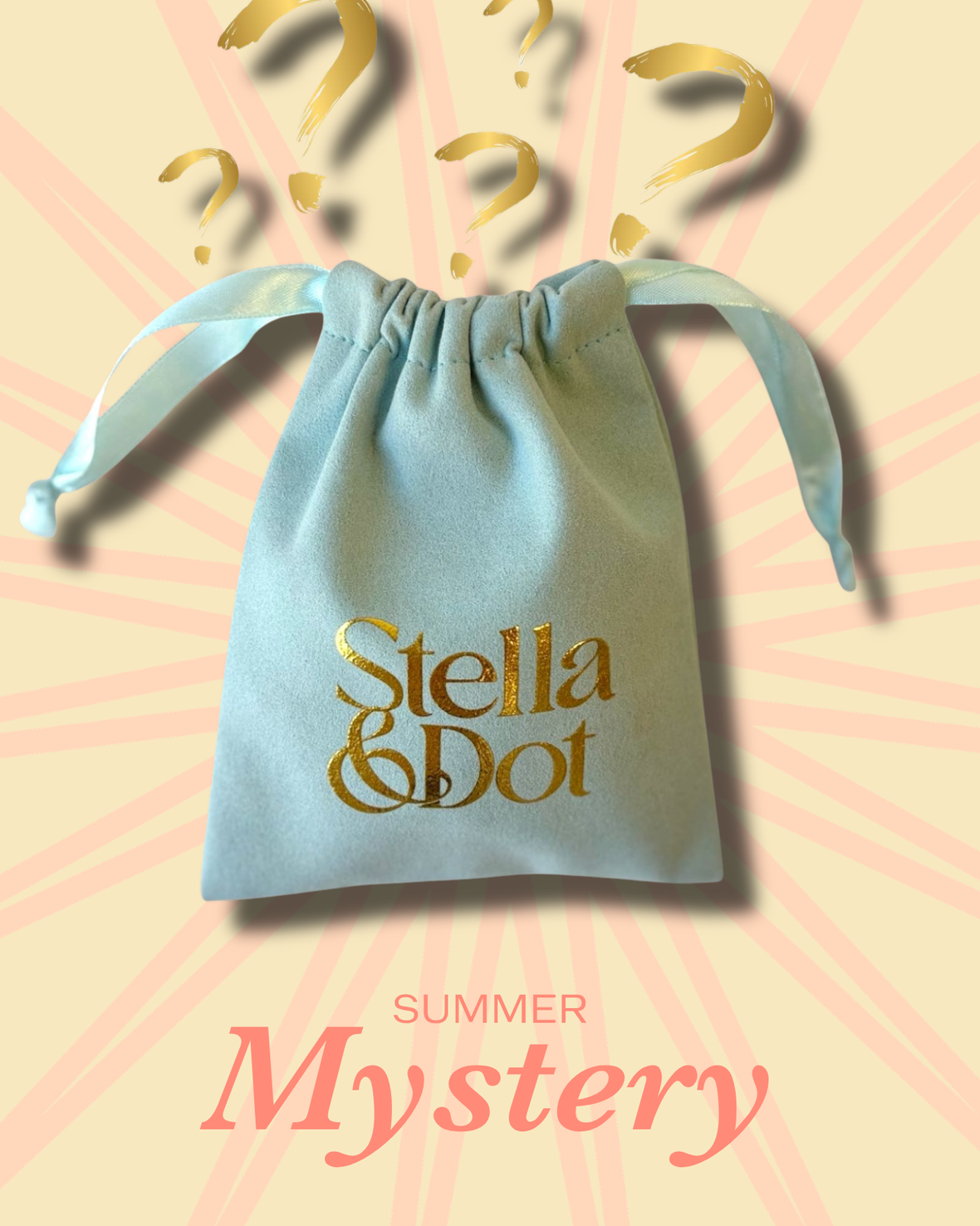 Mystery Jewelry Bag