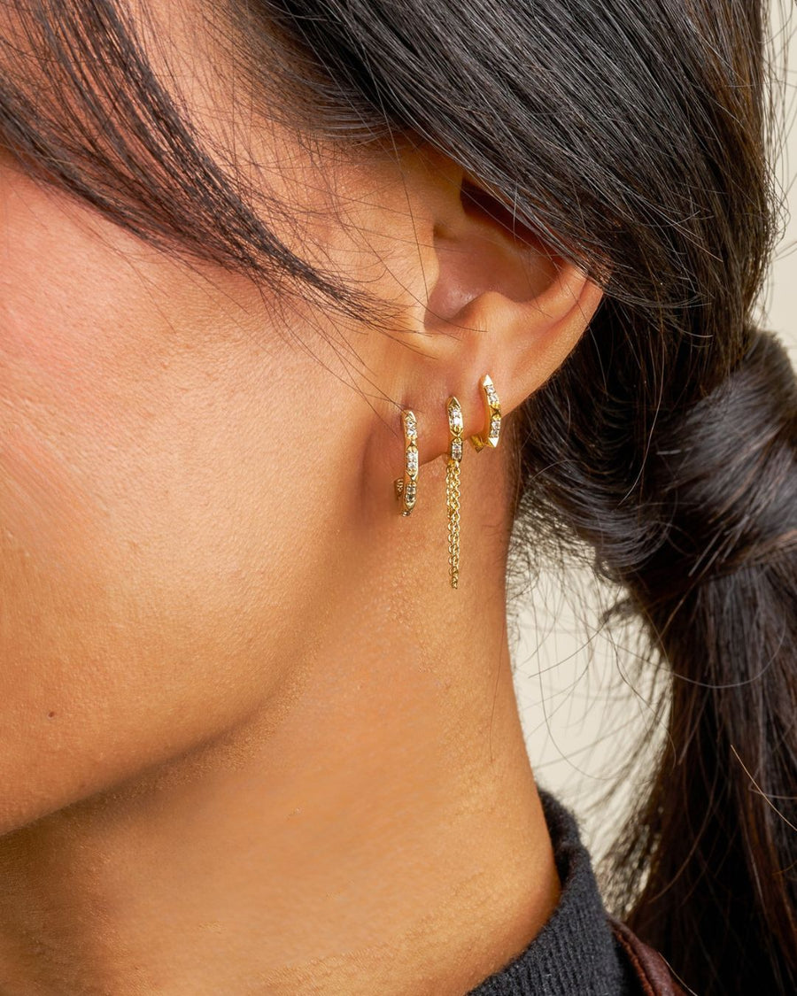 Charlotte Renegade Hoop Minis Bundle