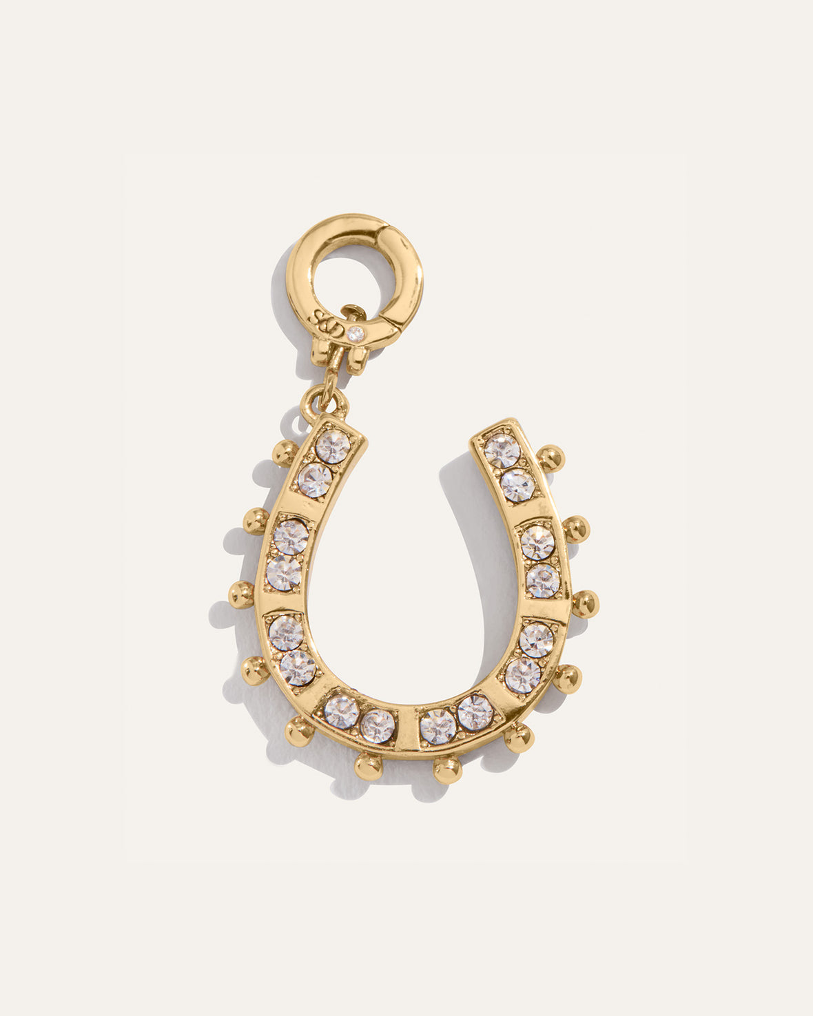 Lucky You Reversible Horseshoe Charm
