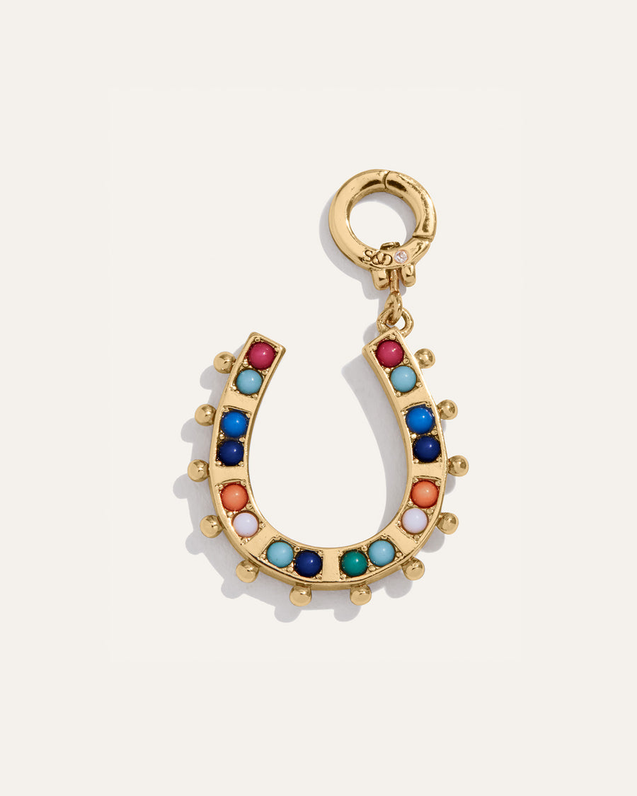 Lucky You Reversible Horseshoe Charm