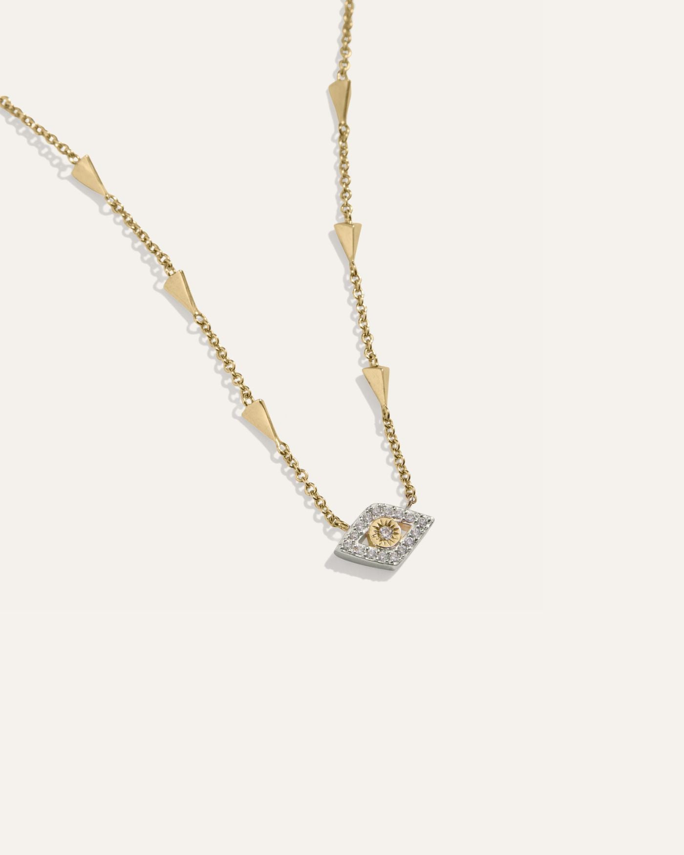 Protective Eye Adjustable Choker