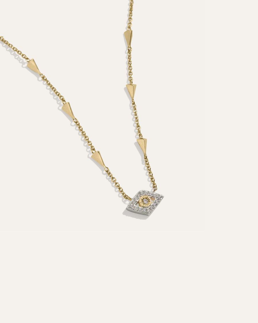 Protective Eye Adjustable Choker