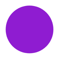 Z - Purple Dot Test Product - Stella & Dot